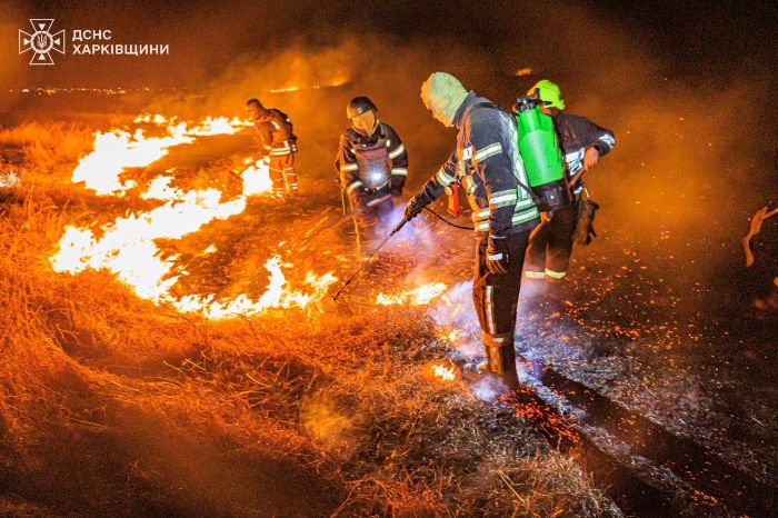 Под Харьковом - огромный пожар: целое село едва не сгорело из-за поджога травы (фото, видео)