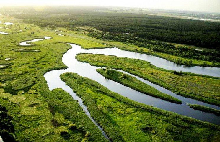 У частника забрали 2 га "Гомольшанских лесов"