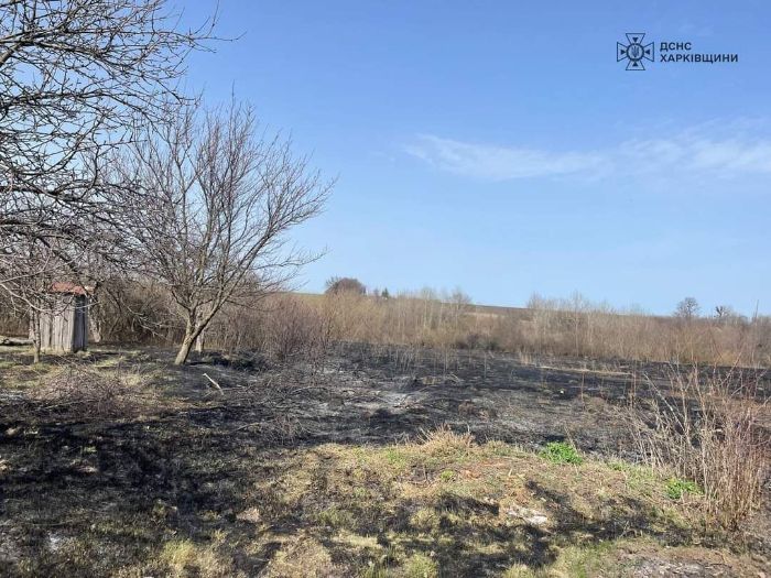 В Харьковской области женщина жгла траву и упала в огонь