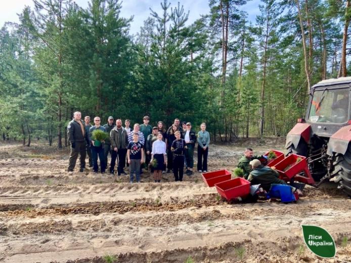 Школьники высадили больше 2300 деревьев в Харьковской области