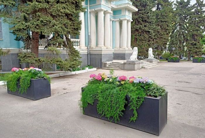 В центре Харькова - новая цветочная инсталляция (фото)
