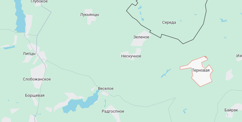 Росіяни атакують у районі Тернової та Липців, всі штурми відбиті - Генштаб