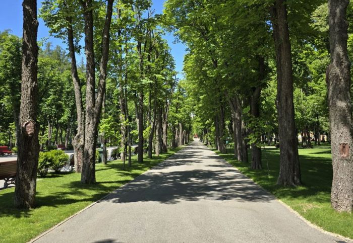 Харків'ян просять не відвідувати Центральний парк та не гуляти вулицями