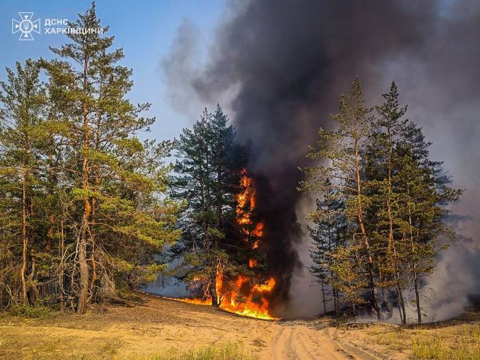 У Харківській області - величезні лісові пожежі, харків'яни скаржаться на дим і в місті