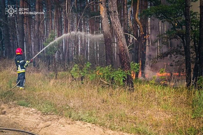 У Балаклії перекриють рух транспорту через лісову пожежу