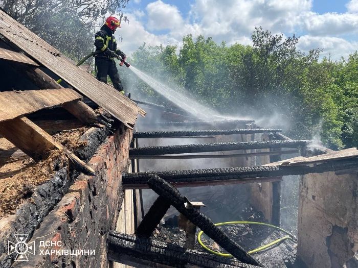 Пожежники врятували песика з охопленого вогнем будинка