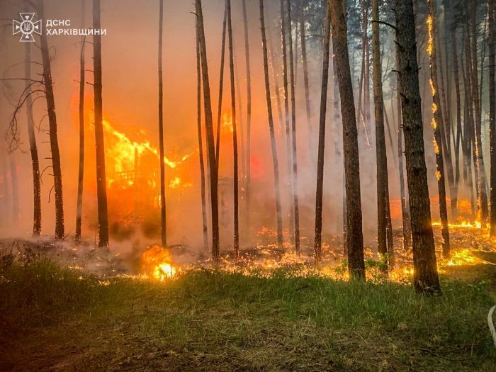 У Харківській області продовжують горіти тисячі гектарів лісу