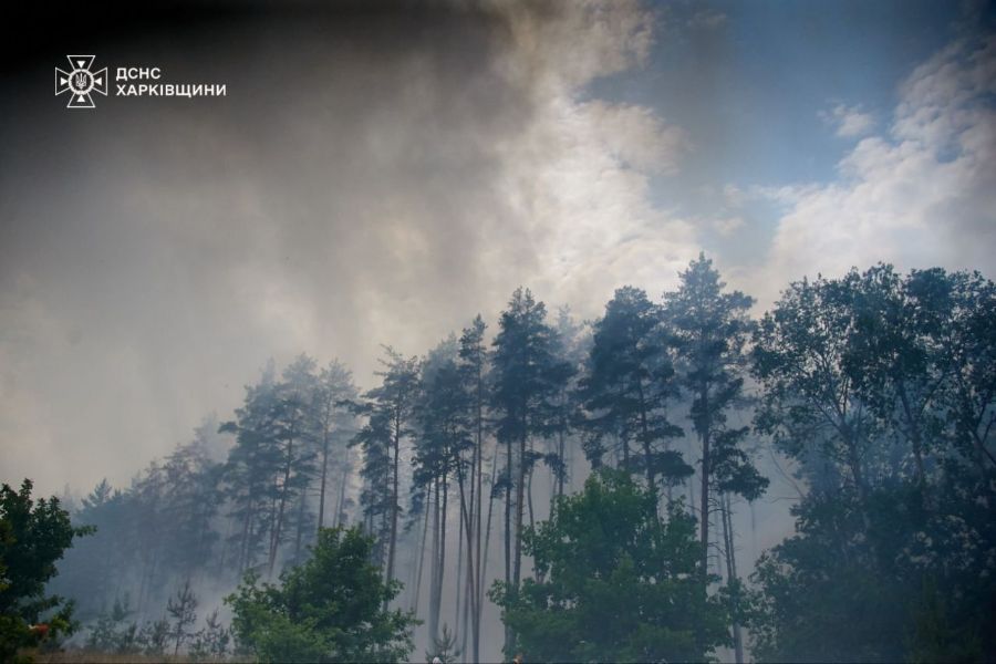 Міністр екології заявив, що рекордну лісову пожежу в Харківській області погасити неможливо