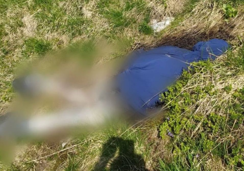На високогір'ї Карпат знайшли тіло жителя Харківської області: його шукали з 2023 року