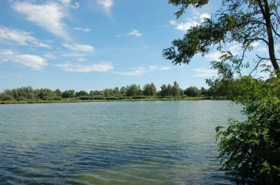 На пляжах Харкова та Безлюдівки знайшли кишкову паличку