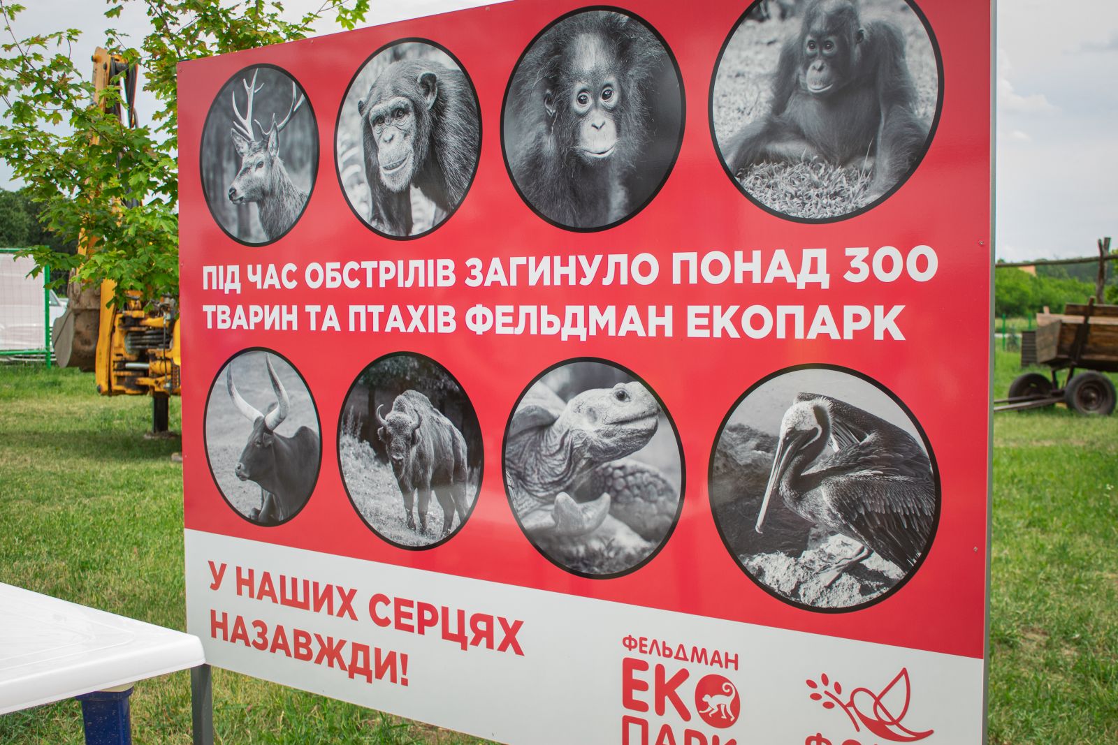 РФ завдала удару по харківському Екопарку