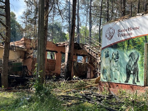 Росіяни знищили притулок для тварин в Екопарку, також загинули лані та олені