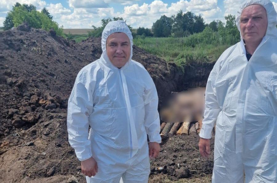 У двох селах Харківської області введено карантин через африканську чуму