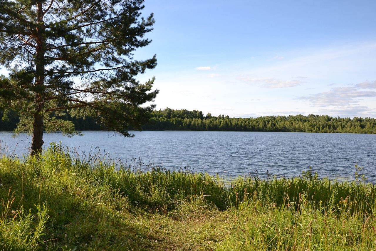 водойма