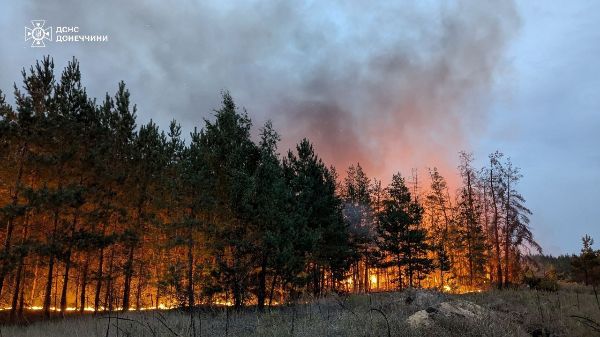 Лесной пожар в Харьковской области