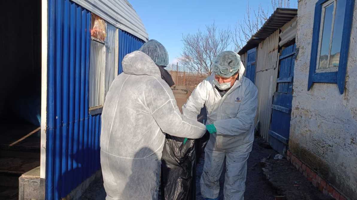В Харьковской области выявлен птичий грипп