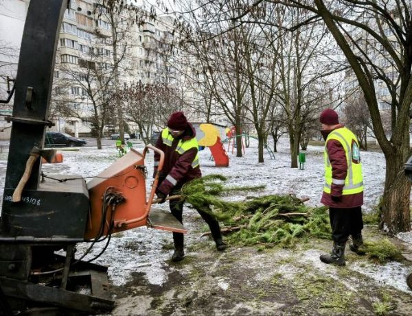 Харківський зоопарк приймає ялинки, але не всі