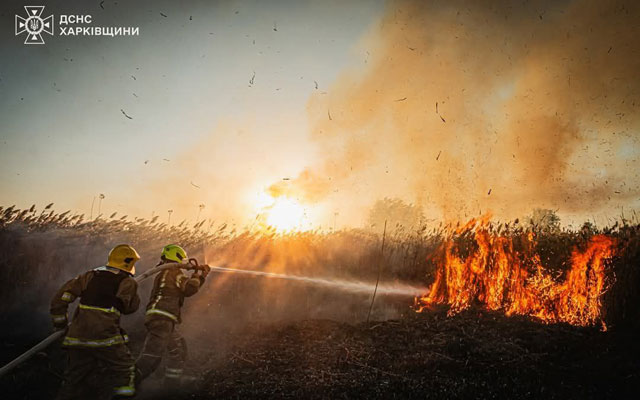 За 2 дні на Харківщині сталося 93 пожежі сухостою
