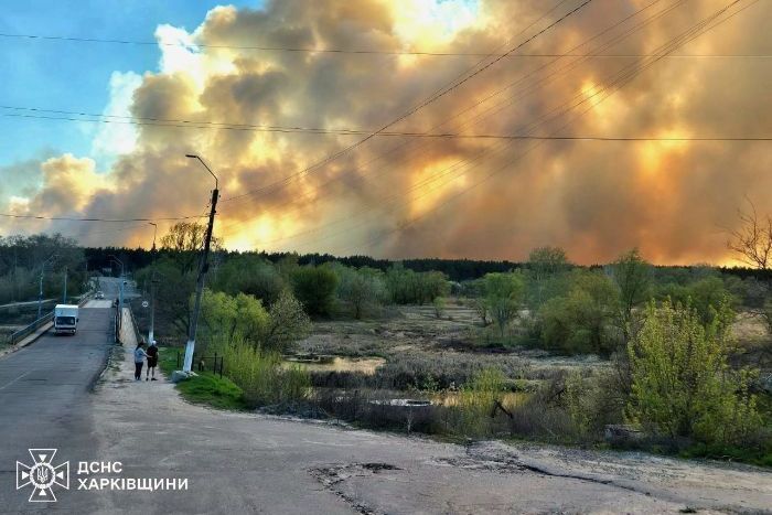 Пожежа в лісі