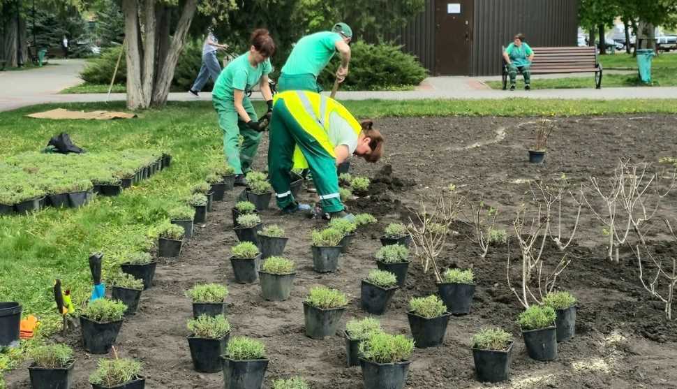 На "Стрелке" высадили клумбу из почти тысячи кустов (фото)