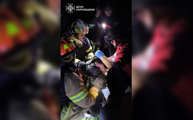 У Харкові врятували собаку, пораненого осколком в око (відео)