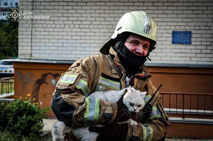 Рятувальник і кіт