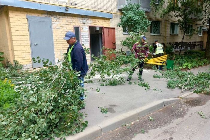 Уборка упавших веток