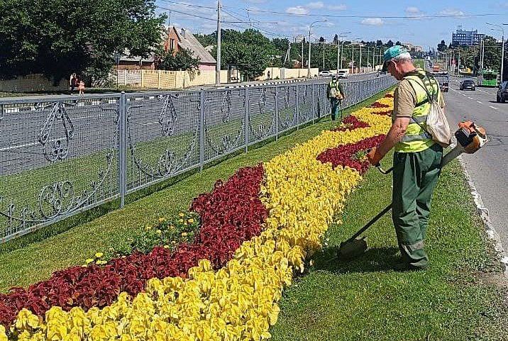 Газон