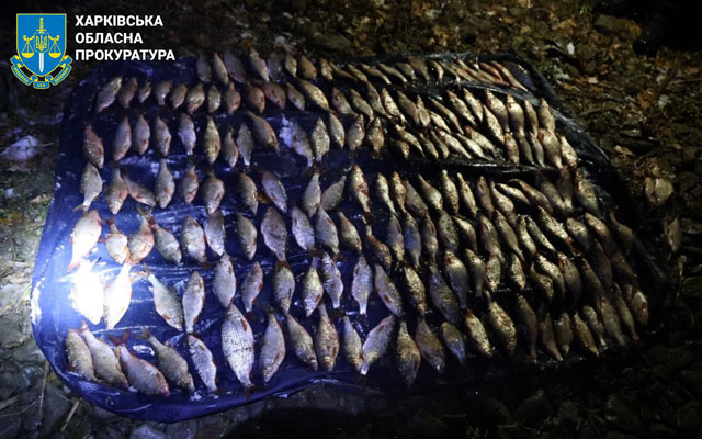 На Печенізькому водосховищі спіймали браконьєра
