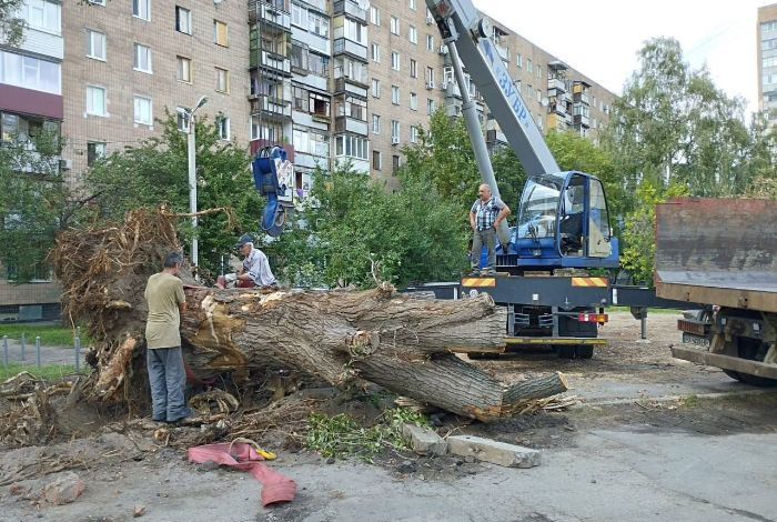 Ліквідація наслідків буревію
