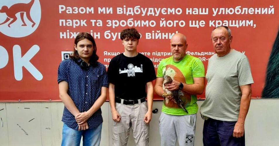 В Харькове студенты спасли травмированного сокола (фото)