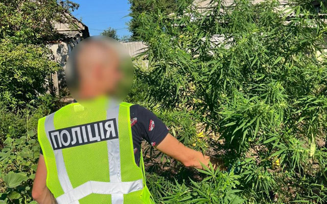 У рамках операції "Канабіс" на Харківщині вилучено наркотиків на 7 млн гривень (фото)