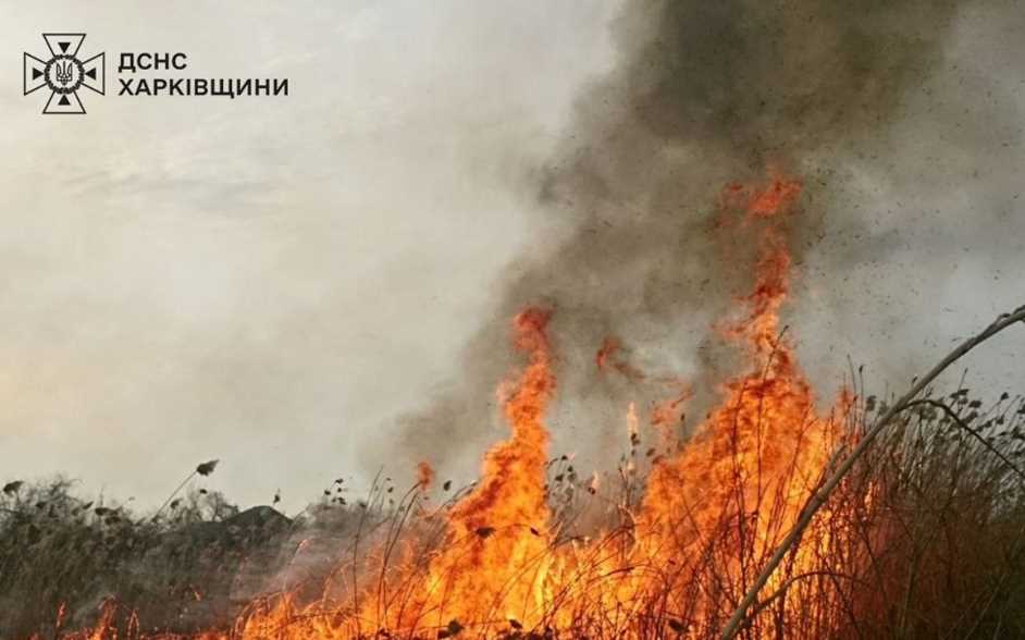 У Богодухівському районі під час спроби загасити пожежу загинула літня жінка