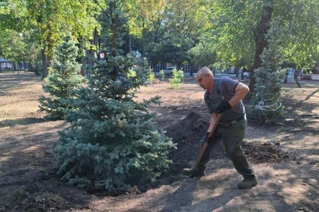 Дерево