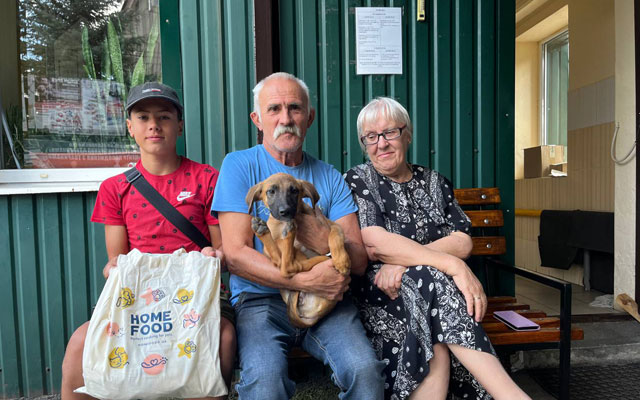В августе харьковский приют нашёл семьи почти 100 животным (фото)