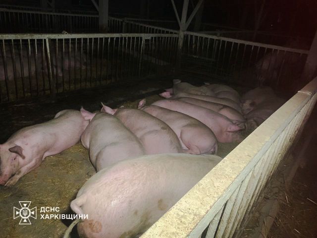 Последствия ударов