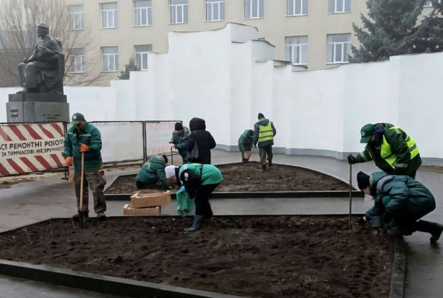 Висаджують тюльпани