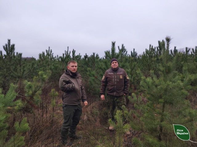 Патрульные