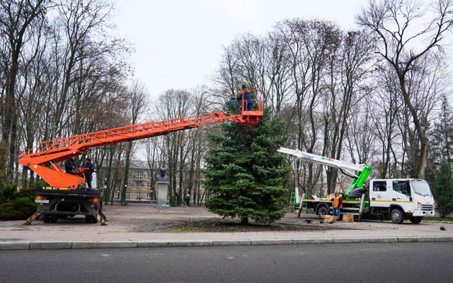 В Лозовой готовят новогоднюю елку