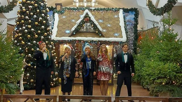 Новогоднее представление