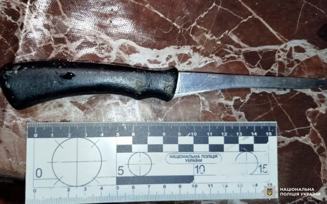 За поножовщину в Чугуевском районе подозреваемому грозит 8 лет