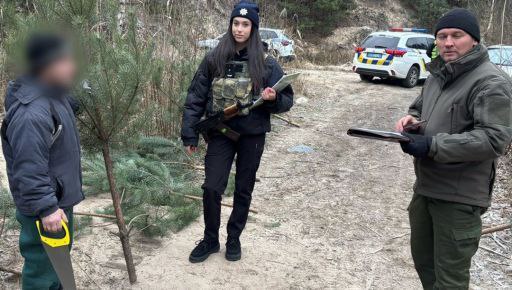 Харківʼянин вирубив у місті 60 ялинок