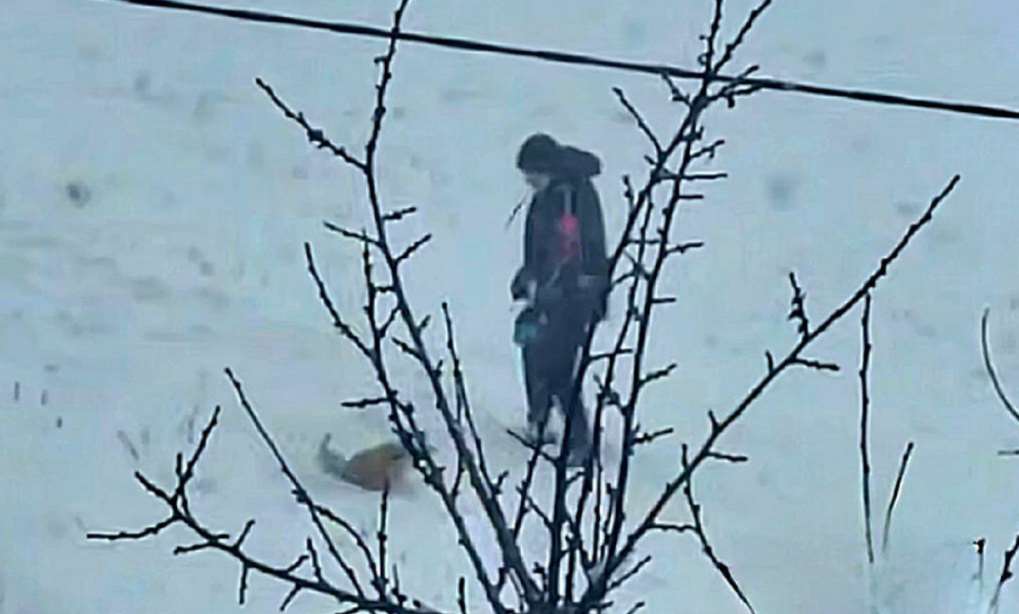 У Харкові юнак знущався над собакою (відео)