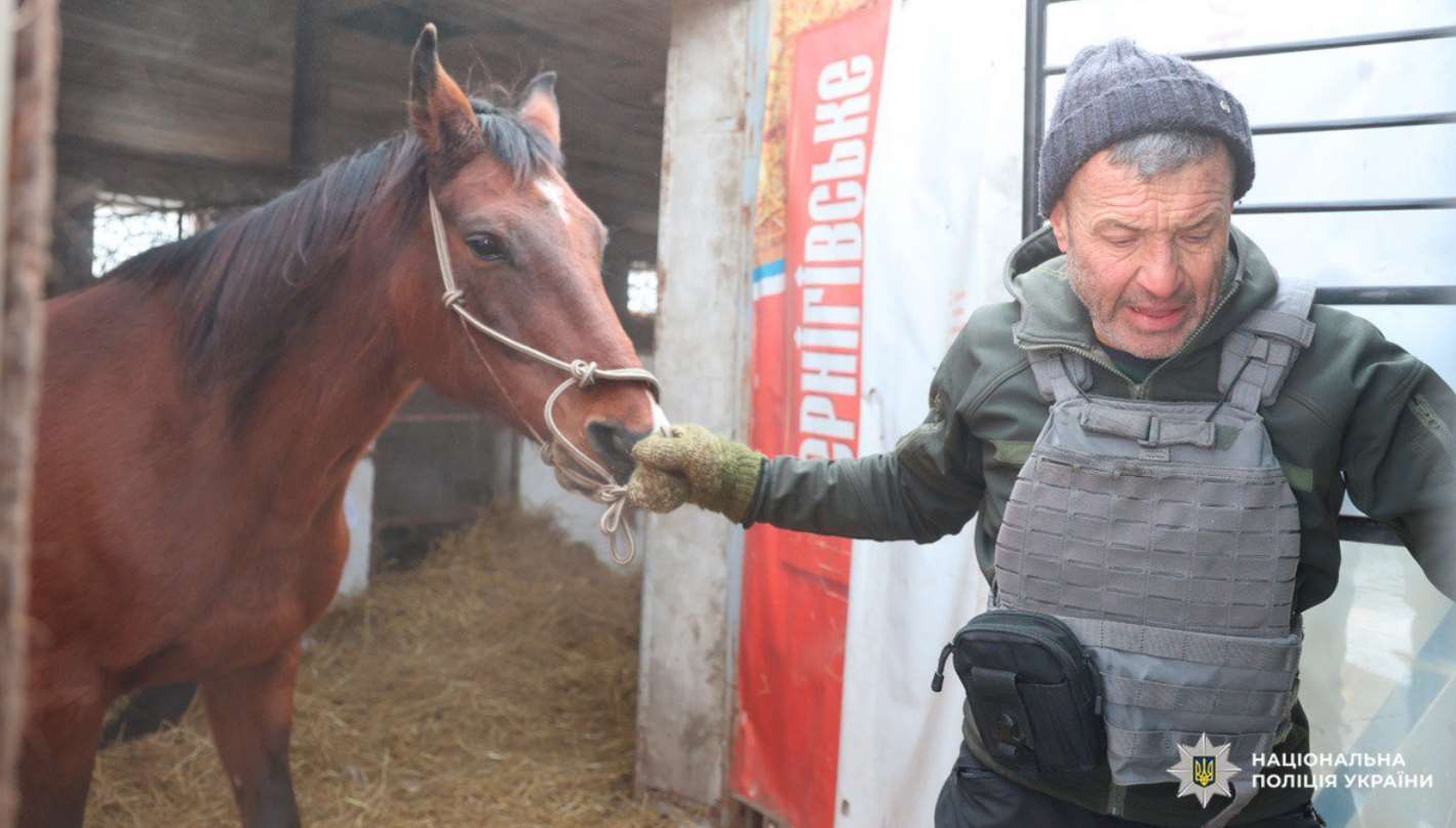 Поліція і волонтери рятують коней у Харківській області: власник виїхав до РФ