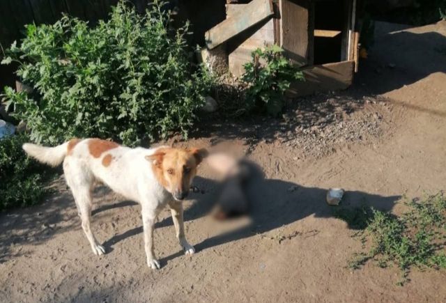 Місце злочину