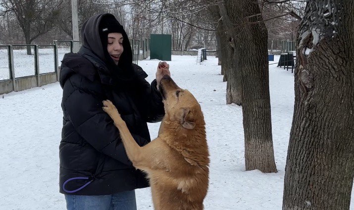 Іспит на людяність: як харків’яни рятують тварин від морозів та обстрілів (фото, відео)