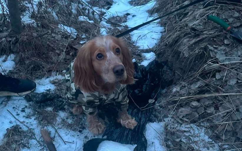 У Харківській області собака знайшла 2 схованки з наркотиками на 100 тис. доларів