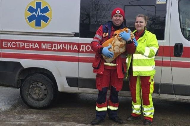 Бригада скорой