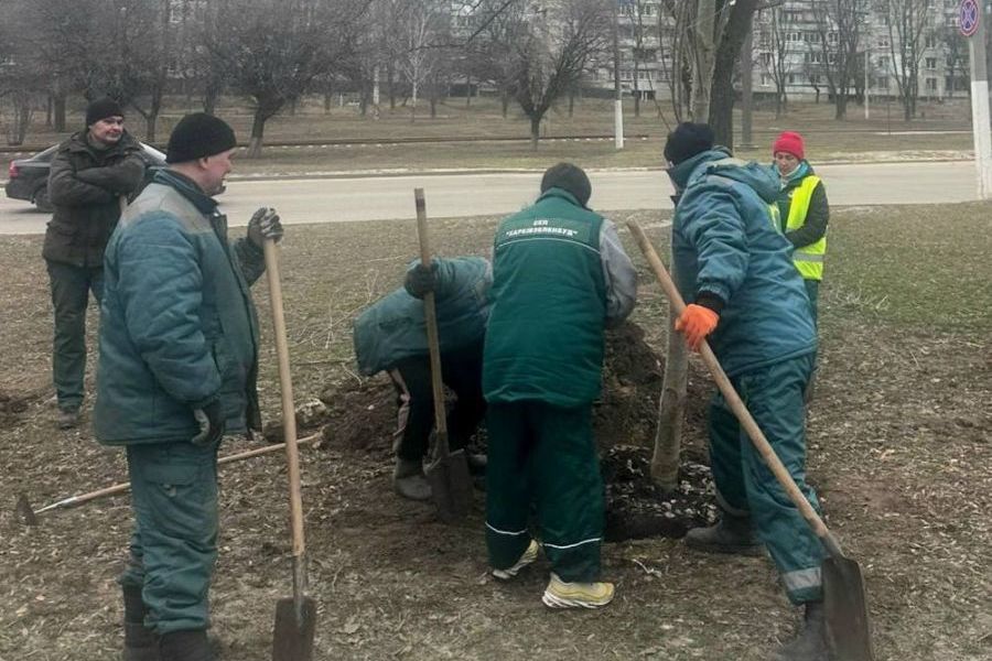 Комунальники