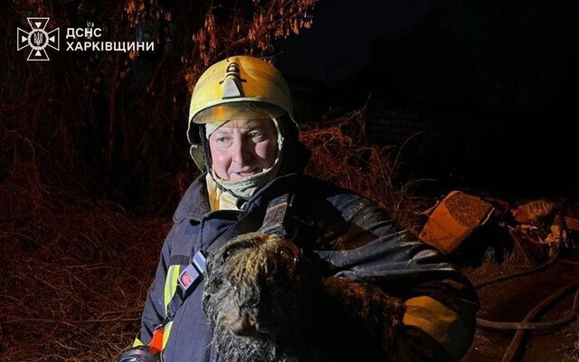 На пожаре в Харькове спасатели вынесли из горящего дома собак (фото)